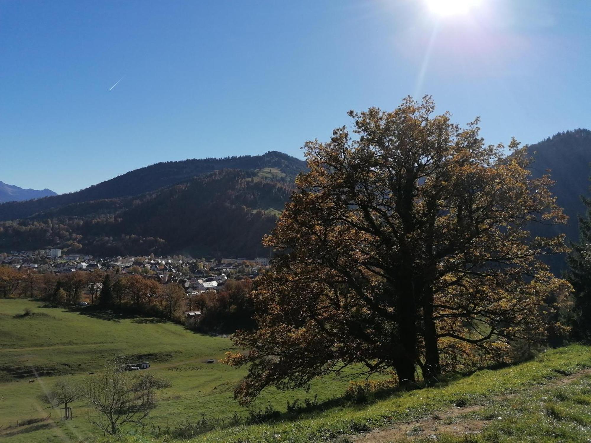Landhaus Auf Der Hoeh Immenstadt im Allgäu Exterior foto